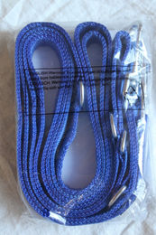 vitazoo Hundeleine aus Nylon in Blau für kleine Hunde 3m - 3 m – Bild 1 von 3