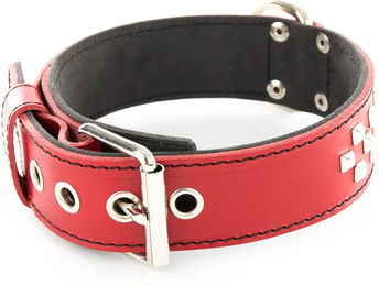 Produktbild von Vivog Clou Hundehalsband aus Leder in Rot 45/60 cm