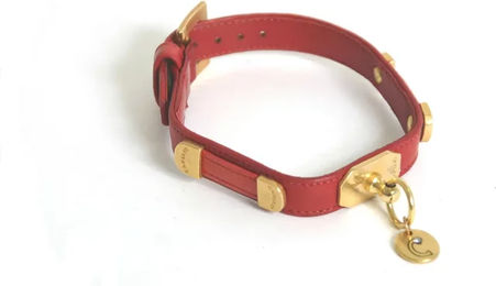 Produktbild von Vivog Hundehalsband Bride aus Kunstleder in Rot