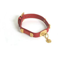 Produktbild von Vivog Hundehalsband Bride aus Kunstleder in Rot