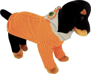 Vivog Hundepulver Antan in Orange für den Winter – Bild 1 von 1