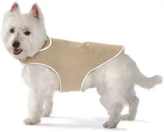 Produktbild von Vivog Luxe Sicherheitsweste für Hunde