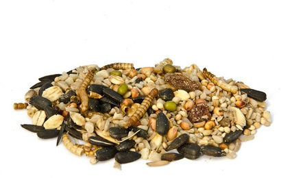 Vogelbescherming Sommer-Vital Streufutter für Wildvögel 1,75 l – Bild 1 von 3