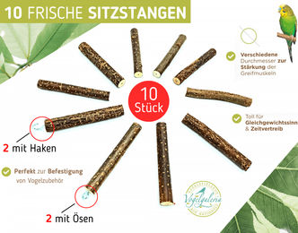 Vogelgaleria 10 Ersatz Sitzstangen aus Naturholz für Wellensittiche und Vögel – Bild 1 von 5