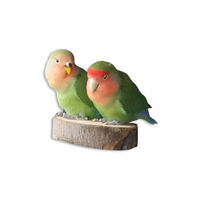 Produktbild von Vogelgaleria 2er Pack Holz Sitzbretter für Wellensittiche und Vögel
