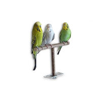 Produktbild von Vogelgaleria Anflughilfe Sitzstange aus Naturholz für Wellensittich Nymphensittich und Kanarienvogel 18/28 cm