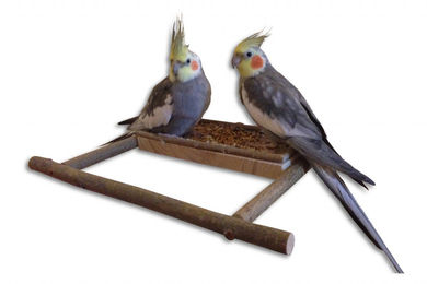 Vogelgaleria Handgemachtes Sitzbrett mit Naturholz Anflugstange für Wellensittich und Nymphensittich in Braun – Bild 1 von 6