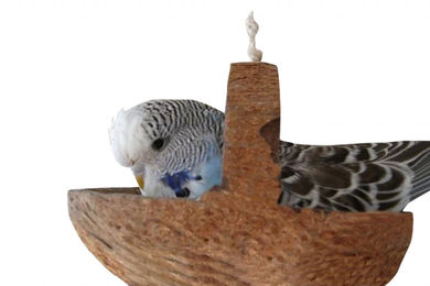 Vogelgaleria Kokosschaukel aus Naturmaterial für Wellensittiche und Vögel – Bild 1 von 7