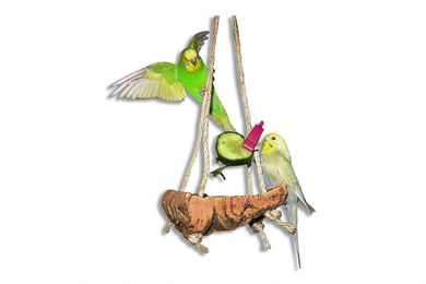 Vogelgaleria Korkschaukel M Vogelschaukel mit Sitzbrett und Pickstein für Wellensittiche und Nymphensittiche – Bild 1 von 8