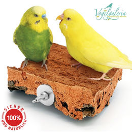 Vogelgaleria Korksitzbrett S aus Kork für Wellensittich und Nymphensittich 10x10cm – Bild 1 von 6