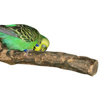 Produktbild von Vogelgaleria Korksitzstange aus Naturkork für Wellensittich und Nymphensittich 20cm