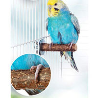 Produktbild von Vogelgaleria Natürliche Einzelsitzerstange für Vögel wie Wellensittiche und Nymphensittiche in Braun