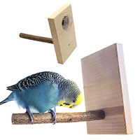 Produktbild von Vogelgaleria Natur Sitzstange mit Saugnapf als Anflugstange für Wellensittiche und Nymphensittiche