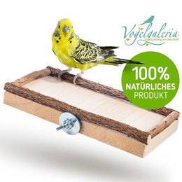 Vogelgaleria Sitzbrett M aus Holz für Wellensittiche und Nymphensittiche – Bild 1 von 5