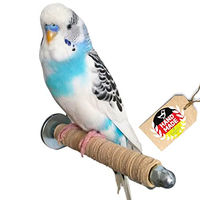Produktbild von Vogelgaleria Therapeutische Sitzstange aus Bio-Leder für Wellensittiche Beige 12 cm