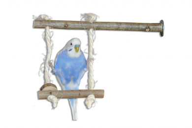 Vogelgaleria Vogelschaukel aus Naturholz als Sitzstange und Spielzeug für Wellensittiche und Nymphensittiche – Bild 1 von 7