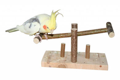 Vogelgaleria Vogelschaukel aus Naturholz für Wellensittiche in Braun – Bild 1 von 2