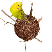 Produktbild von Vogelgaleria Weidenkugel XL-Schredderkugel aus Weide mit Heu als natürliches Knabber- und Schredderspielzeug für Wellensittiche und Vögel 20cm