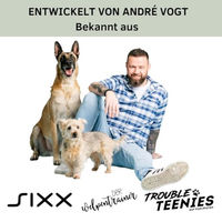 Produktbild von Vogt Hundepfeife Armbandpfeife in Rot für das Hundetraining