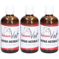 Produktbild von VulcanoVet HeparHerbal ER Flüssigkeit zur Unterstützung von Leber und Nieren