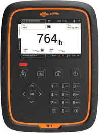 Produktbild von Waage Anzeige APS W1