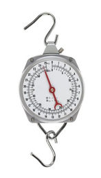 Waage rapide graduiert Lebensmittel Kerbl 100 g – Bild 1 von 2