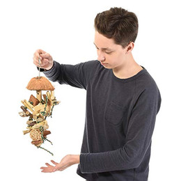 Produktbild von Wagner's Java Bush Small Vogelspielzeug