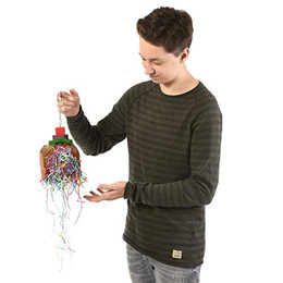 Produktbild von Wagner's Kokusnuss Spielzeug mit Edelstahlkette für Papageien - 1 Stk.