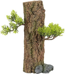 Produktbild von Walddekoration für das Aquarium Zolux
