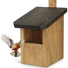 Produktbild von Waldfunk Halbhöhle Nistkasten für Rotkehlchen & Co.