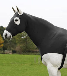 Produktbild von WALDHAUSEN Comfort Combination Hood