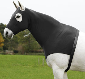 Produktbild von Waldhausen Comfort Combination Hood