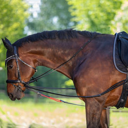 Waldhausen Dreieckszügel WtrainRein – Bild 1 von 2
