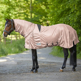 Produktbild von Waldhausen Ekzemer-Fliegendecke Protect Silbergrau 155 cm