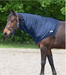 Waldhausen Ekzemer Halsteil – Bild 1 von 2