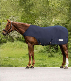 Produktbild von Waldhausen Fliegen-Führmaschinendecke Comfort Nachtblau 125 cm - 1 Stk.