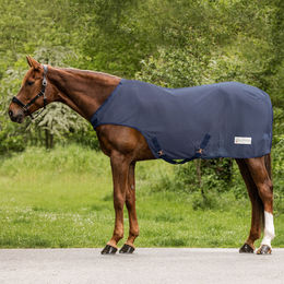 Produktbild von Waldhausen Fliegen-Führmaschinendecke Comfort Nachtblau 145 cm - 1 Stk.