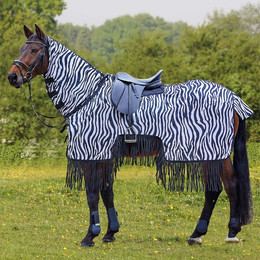 Produktbild von Waldhausen Fliegenabwehrshirt für Pferde mit Fransen Zebra