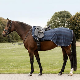 Produktbild von Waldhausen Fliegenausreitdecke Economic