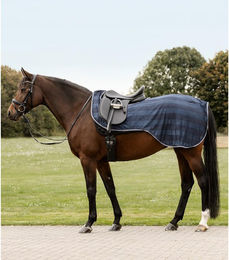 Produktbild von Waldhausen Fliegenausreitdecke Economic