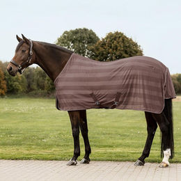 Waldhausen Fliegendecke Economic Kreuzbegurtung – Bild 1 von 3