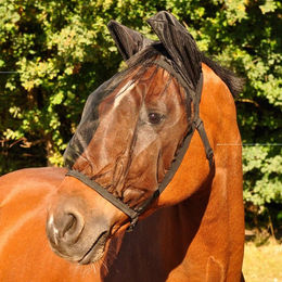 Produktbild von Waldhausen Fliegenmaske Basic mit Ohren