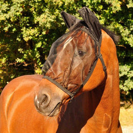 Waldhausen Fliegenmaske Basic mit Ohren schwarz VB – Bild 1 von 2