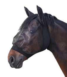 Produktbild von Waldhausen Fliegenmaske Skinny schwarz Shetty