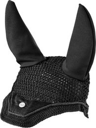 Waldhausen Fliegenohren St. Gallen – Bild 1 von 4