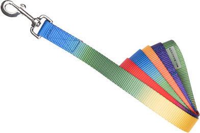 Produktbild von Waldhausen Führstrick Regenbogen