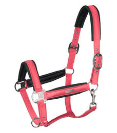 Waldhausen Halfter Breath – Bild 1 von 3