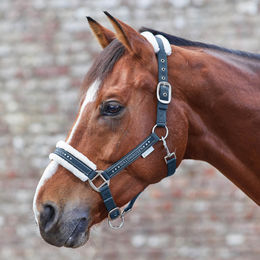 Waldhausen Halfter Elegant Nachtblau – Bild 1 von 2