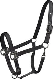 Produktbild von Waldhausen Halfter Gloomy VB schwarz