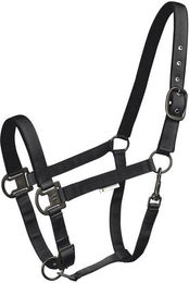 Produktbild von Waldhausen Halfter Gloomy WB schwarz